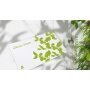 Serviettes de plage Bain 'douce heure'