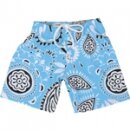 Culottes et shorts anti-fuites short anti-fuites Bandana Turquoise
